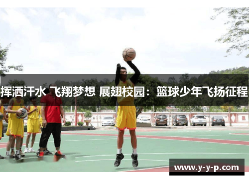 挥洒汗水 飞翔梦想 展翅校园：篮球少年飞扬征程